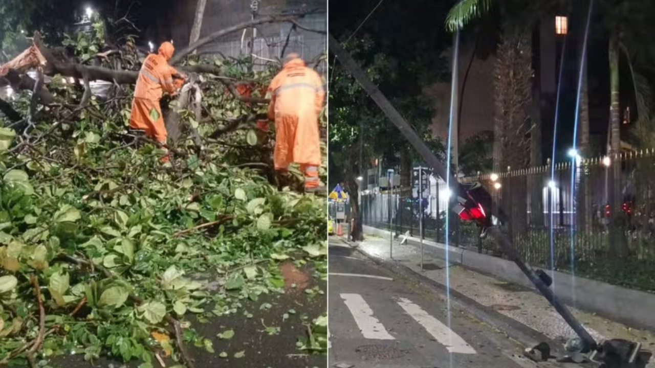 Chuva Forte Causa Transtornos e Quedas de Árvores no Rio; Alerta Vigente Para Novas Pancadas