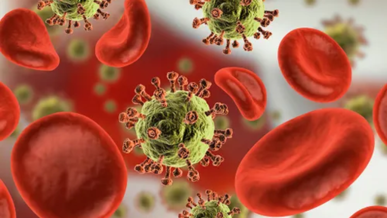 Rio de Janeiro Celebra Menor Índice de Contaminação por HIV em 11 Anos