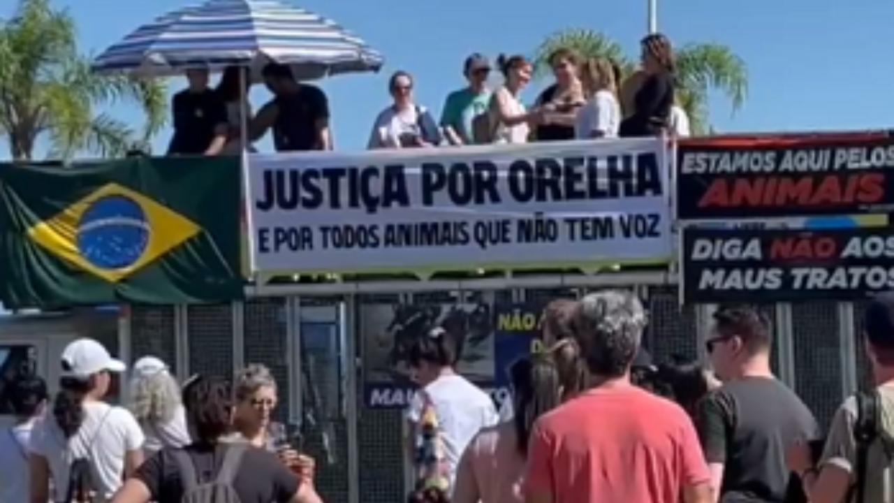 Morte do Cão Orelha: Milhares vão às ruas em manifestações por justiça em todo o Brasil