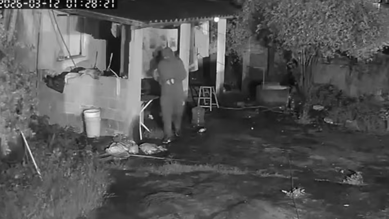Homem é preso após invadir casa e tentar matar ex-companheira em Nova Iguaçu