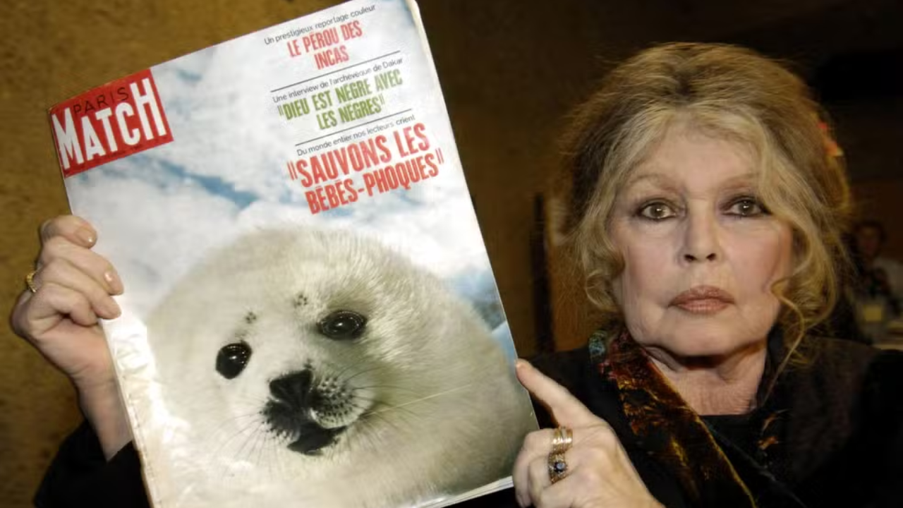 Oscar 2026: Ausência de Brigitte Bardot no 