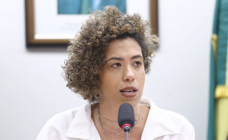 Comissão da Câmara promove seminário sobre a Nova Economia e o desenvolvimento sustentável