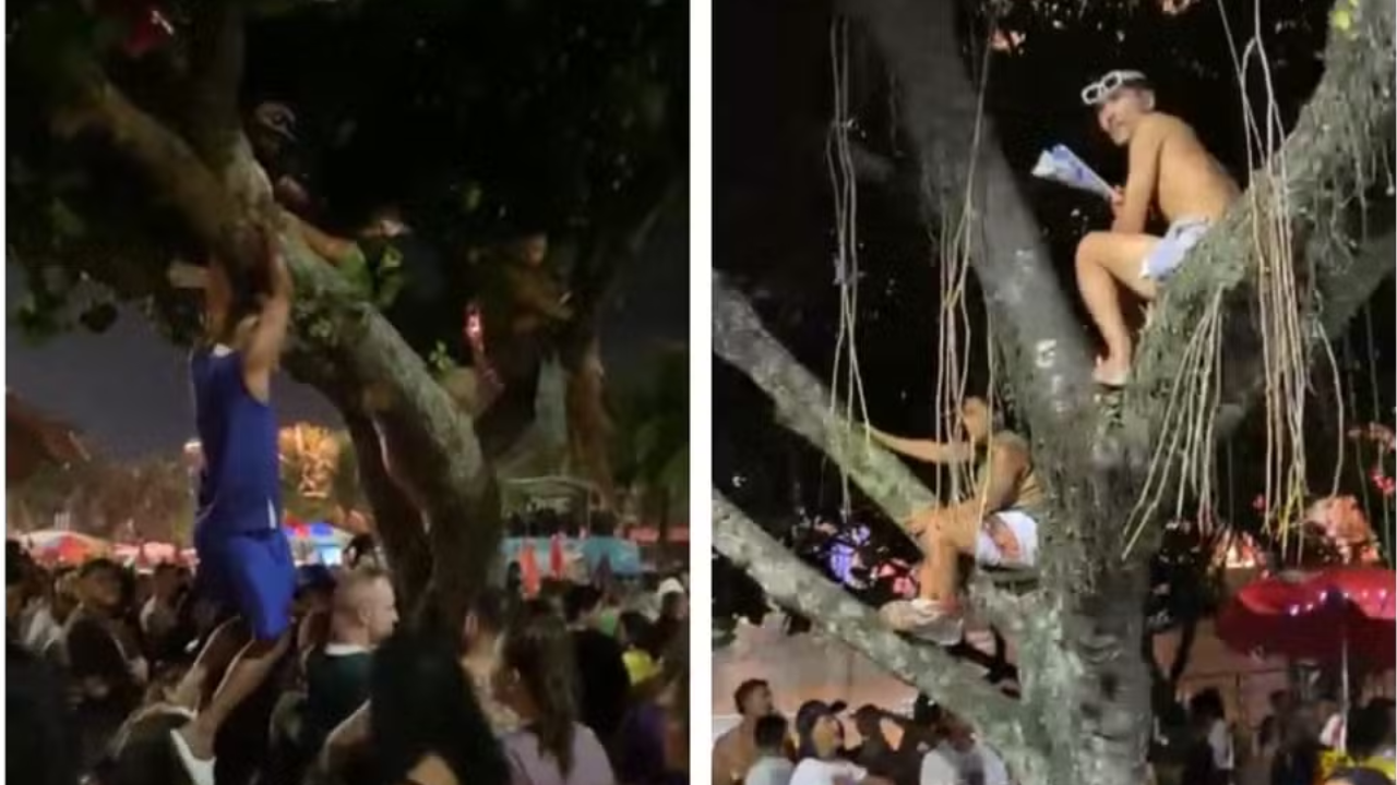 Fãs de Shakira escalam árvores em Copacabana para garantir visão privilegiada de show gratuito