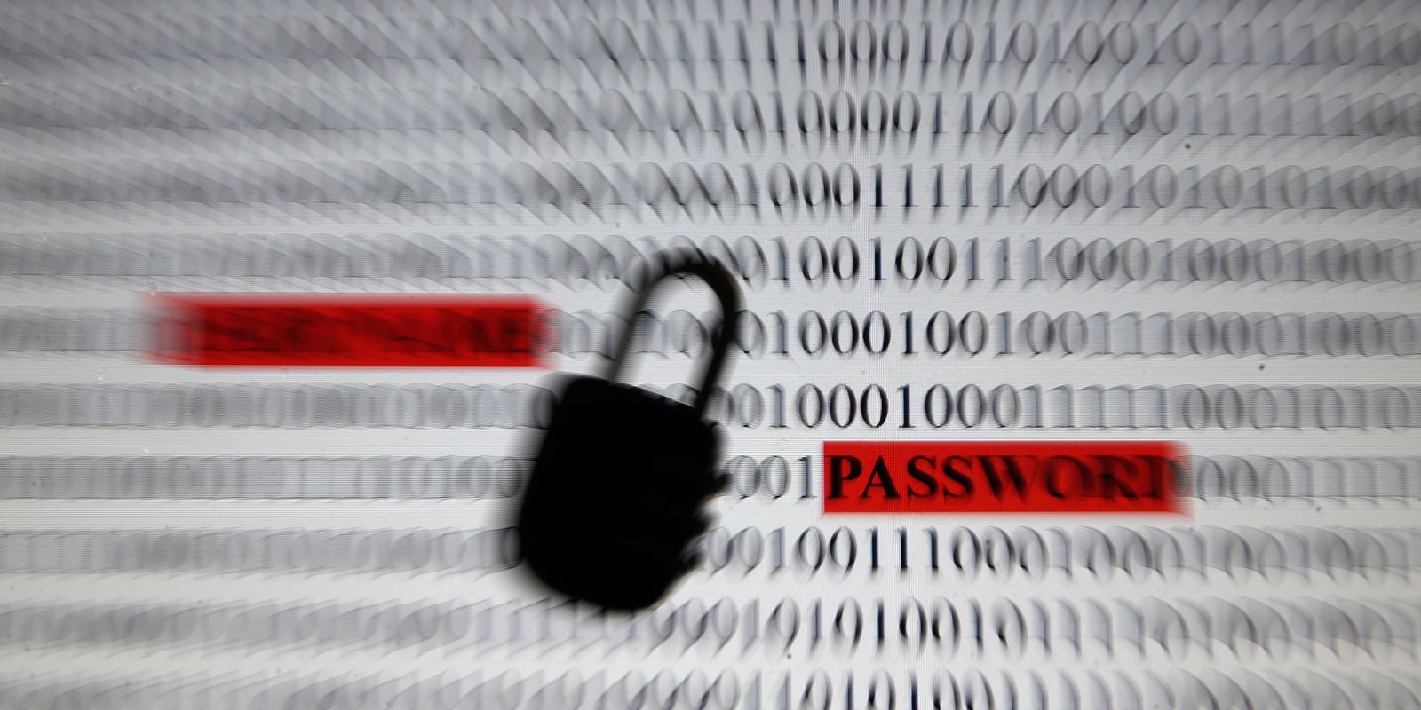 Governo lança material educativo para combater golpes digitais