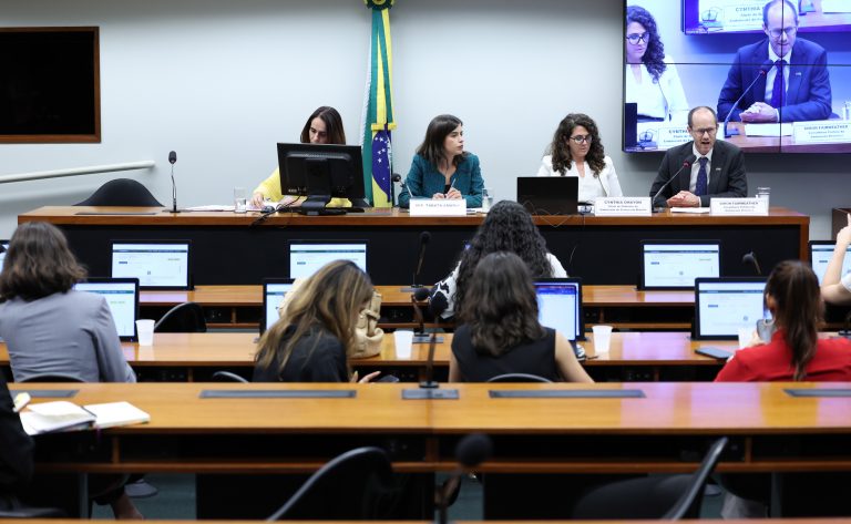 Relatório sobre combate à misoginia será apresentado na Câmara na próxima quarta-feira