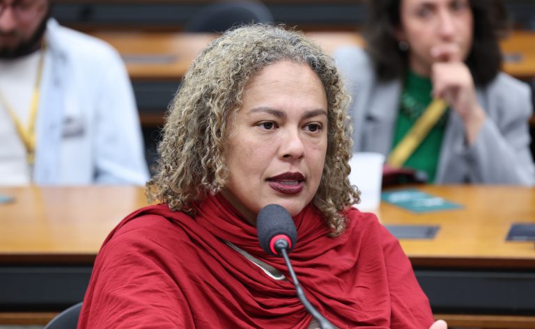 Câmara debate impacto das mudanças climáticas sobre o patrimônio cultural e territórios