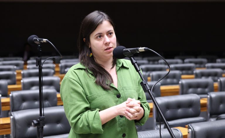 Projeto de lei busca proibir acesso a armas de fogo para agressores com medidas protetivas