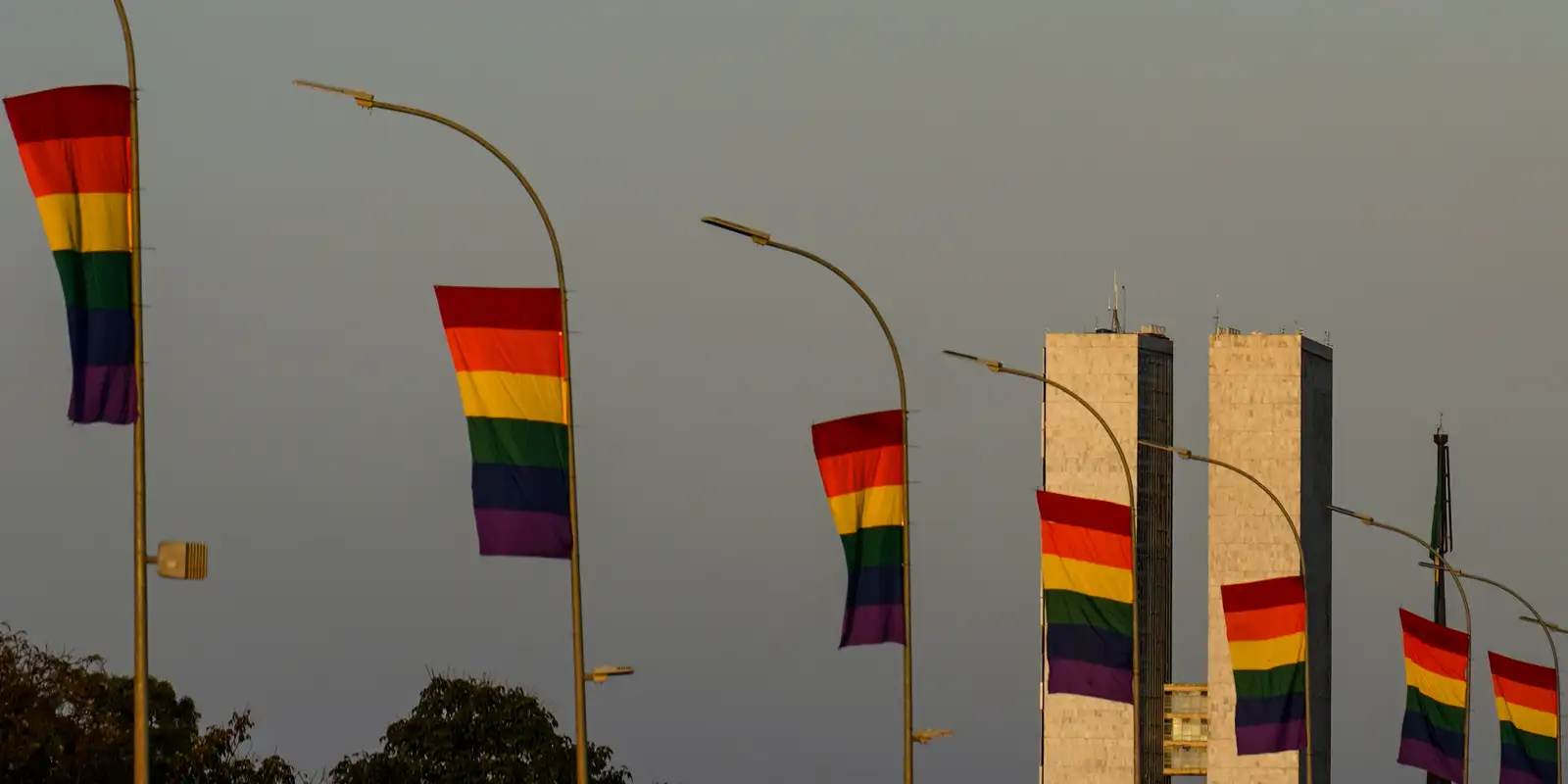 Candidaturas LGBT+ atingem recorde histórico nas eleições de 2026