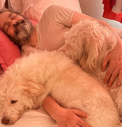 Letícia Sabatella celebra ao mostrar cães recuperados com Daniel Dantas