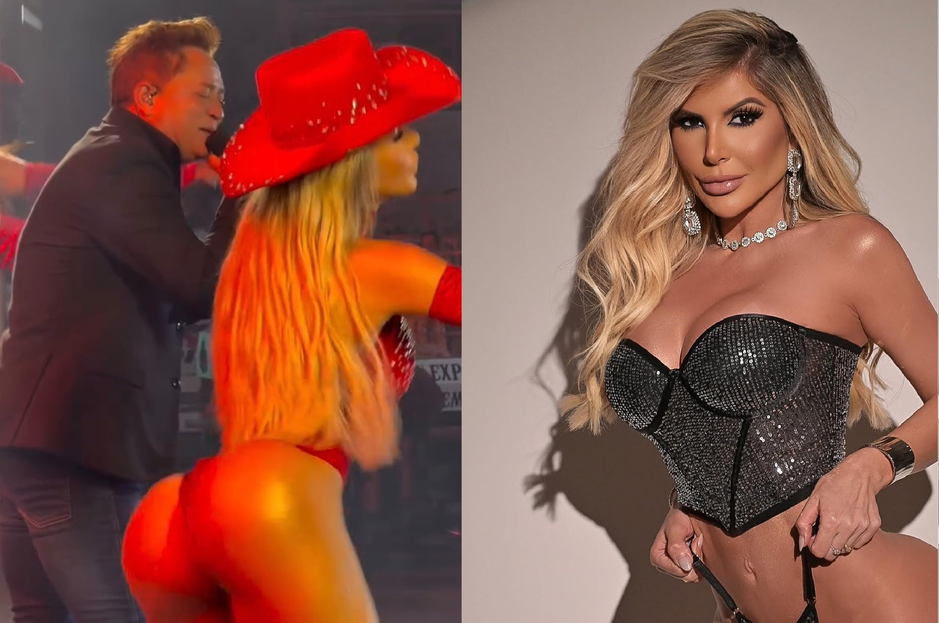 Bailarina de Leonardo atrai olhares e divide opiniões com figurino ousado em show