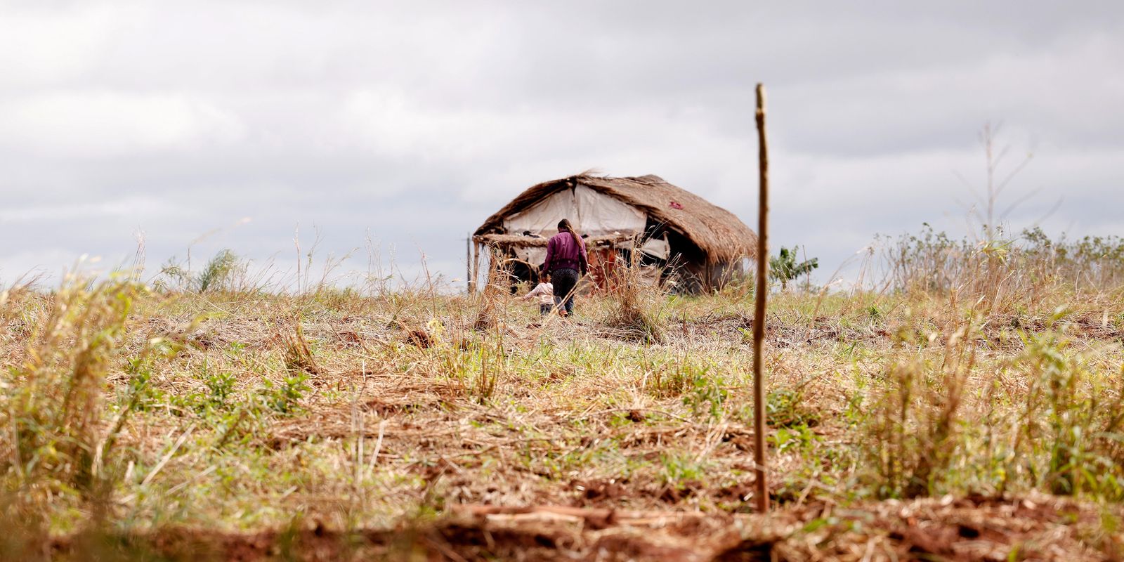 Relatório da CPT aponta redução de mortes, mas avanço de conflitos no campo em 2026
