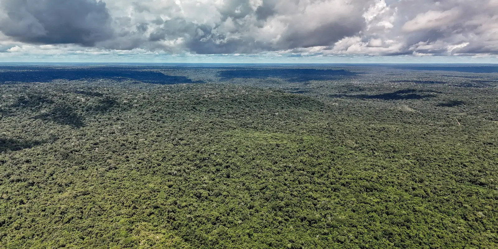 Fazenda libera crédito de US$ 1 bilhão do BID ao Eco Invest Brasil