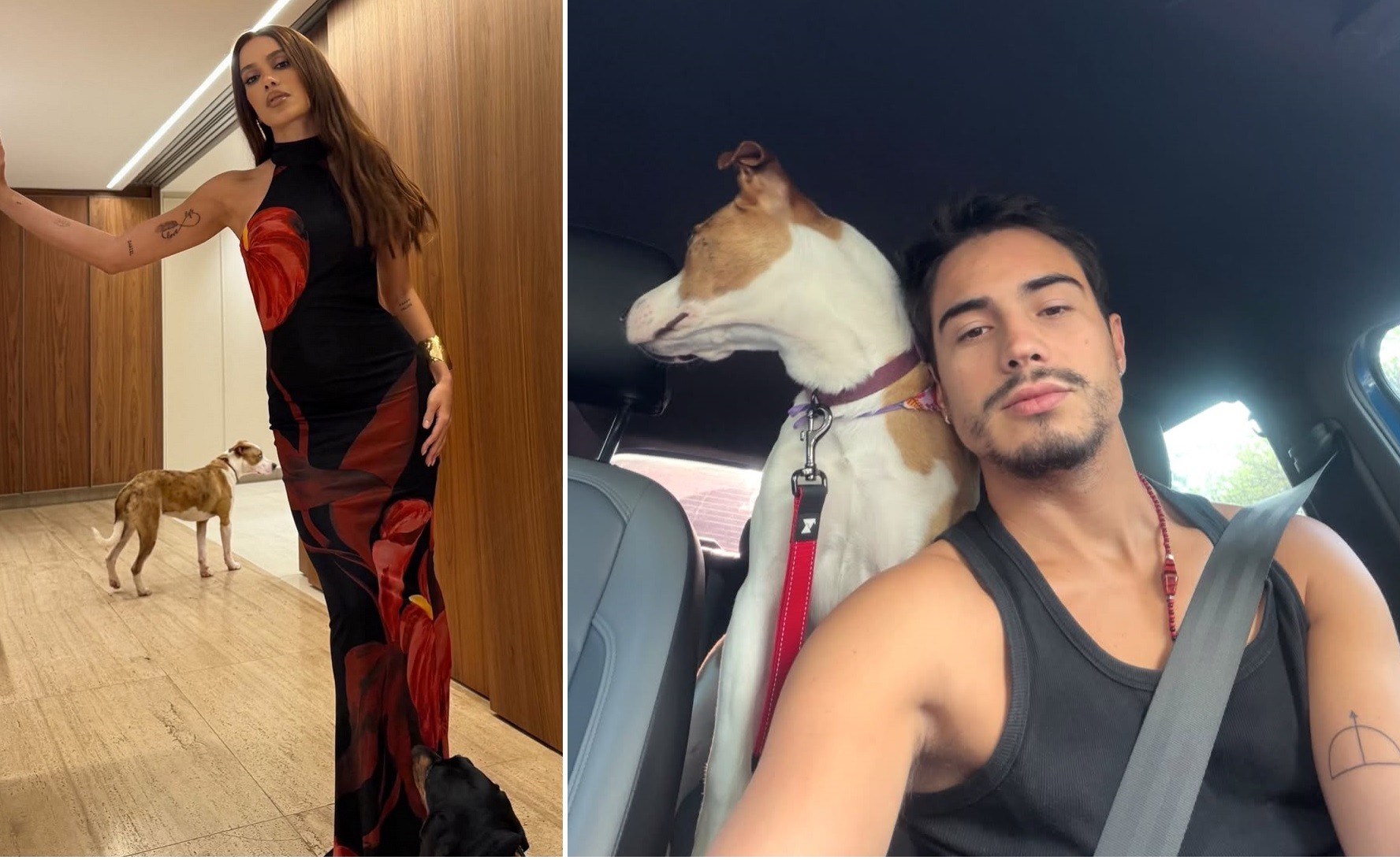 Romance de Anitta e Danilo Mesquita avança com pets juntos em mansão