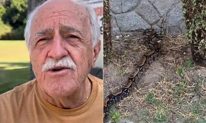 Ator Ary Fontoura é surpreendido por cobra jiboia em sua casa no Rio de Janeiro