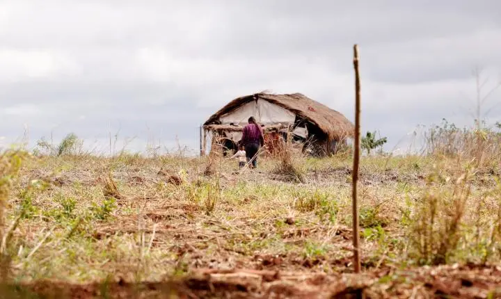 Relatório da CPT aponta redução de mortes, mas avanço de conflitos no campo em 2026