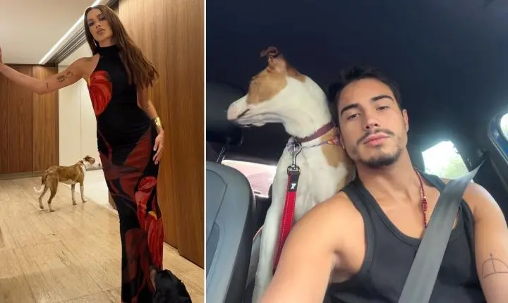Romance de Anitta e Danilo Mesquita avança com pets juntos em mansão