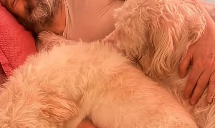 Letícia Sabatella celebra ao mostrar cães recuperados com Daniel Dantas