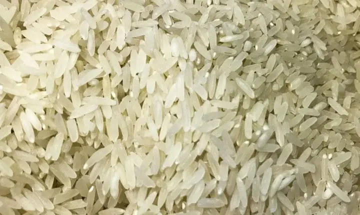 Brasil enviará 10 toneladas de arroz para ajudar a Colômbia após terremoto